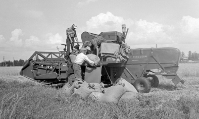 Voutilainen Erkki Museovirasto