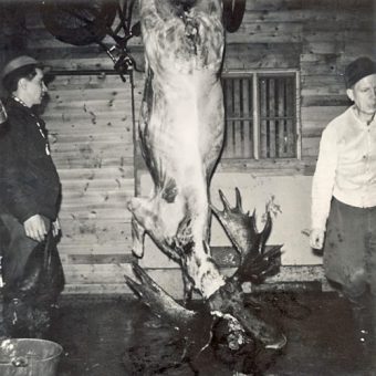 Jorma Haavisto ja Eino Seppälä sekä 217-kiloinen uroshirvi,. jolla oli 19-piikkiset  lapiosarvet.