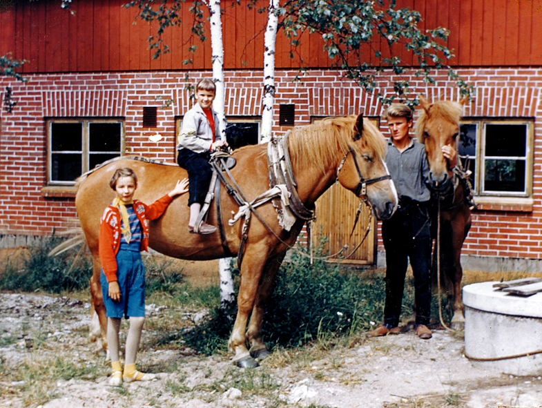 Peltolan hevoset Hessu ja Humu Ulla Peltola Pikku-Aino ja Pertti Peltola korj WP