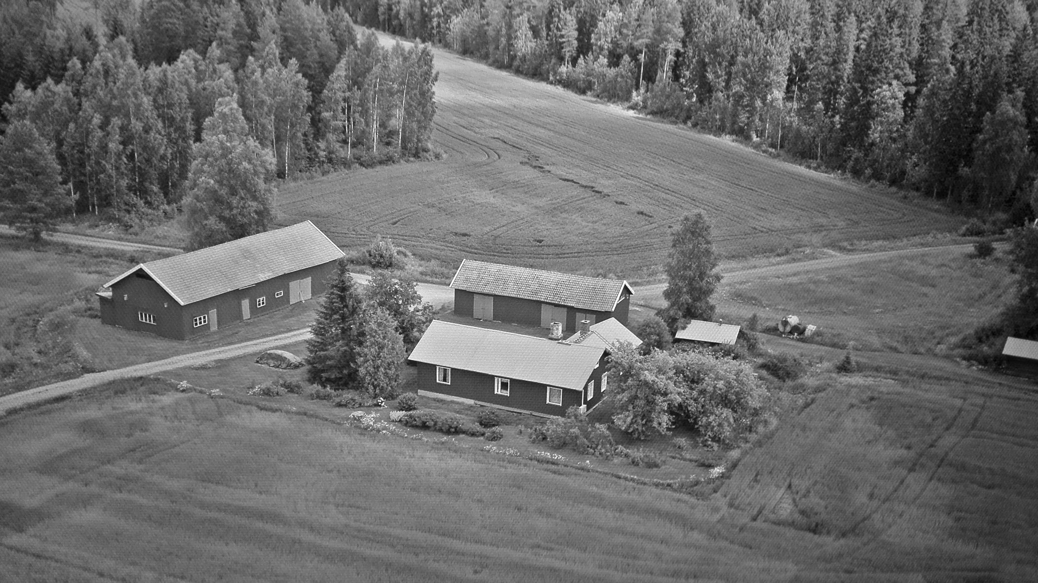 Esa V_ Koivisto 020919 harmaasävy