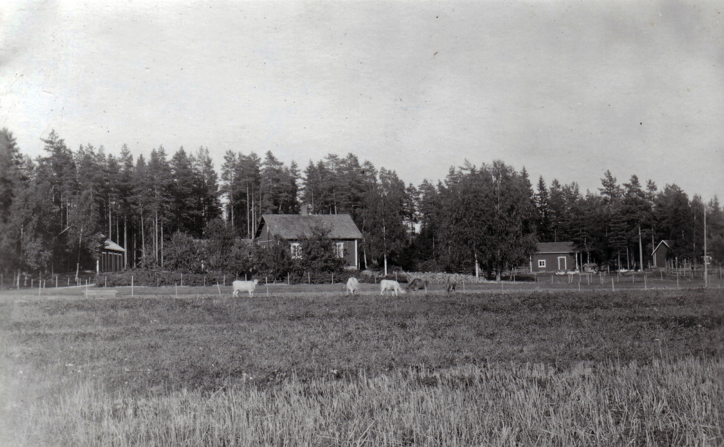 Kaunismäki 1930-40-luvulla korjHL väri WP
