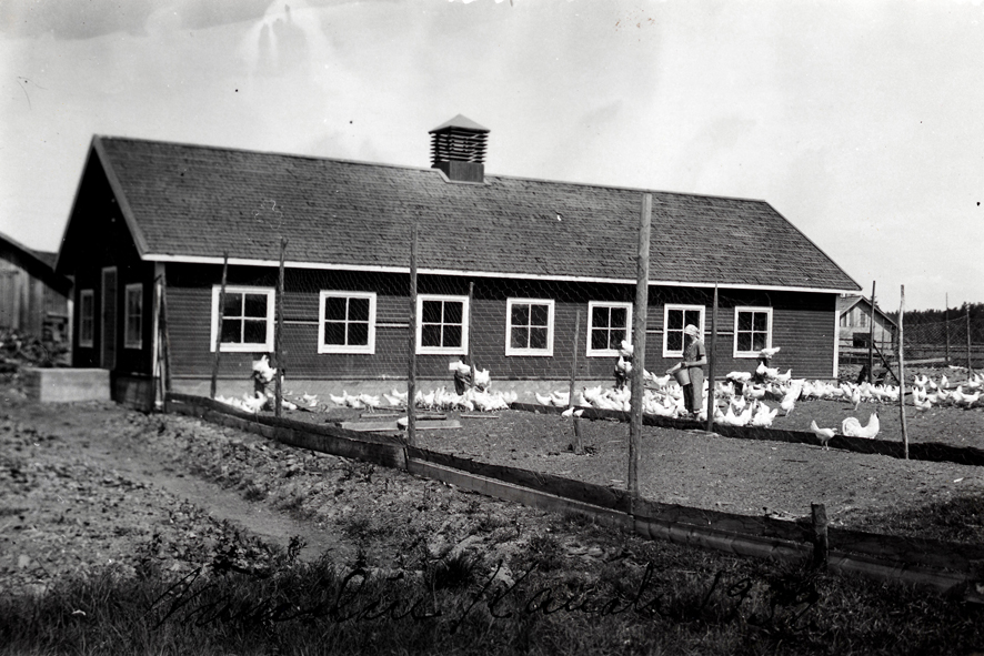 Väinölä 29 (150) Väinölän kanala korj WP