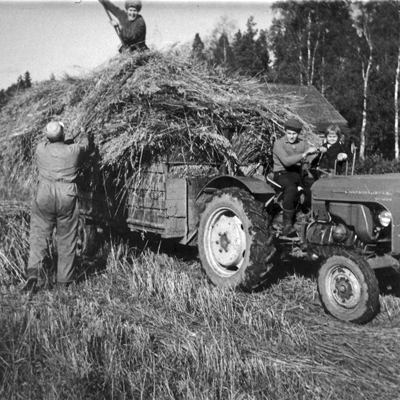 M Kankare 9_ 20 Viljan lastaus traktorin kyytiin korj WP