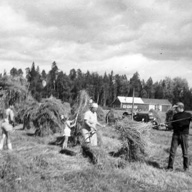 M Kankare_ Heinäpellolla 60-luv oik Markku äiti Marja Merja korj WP