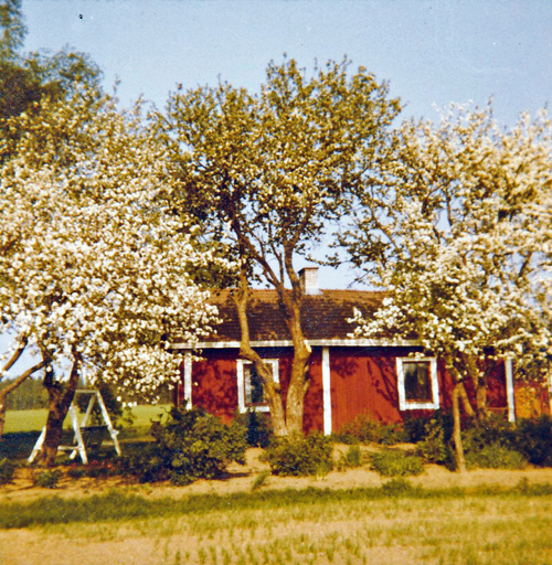 R-N Nieminen mökki korj WP