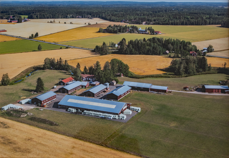 TR3 WP Rintalan tila ilmakuva 2020