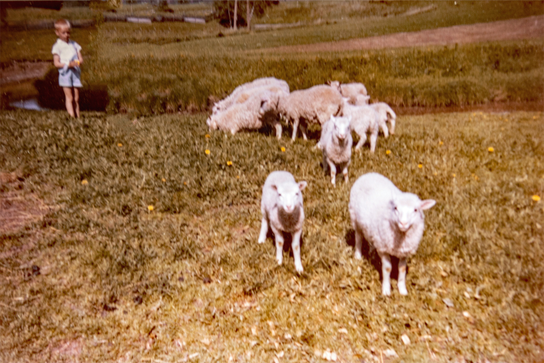 TR36 WP Rintala Tapio lampuri