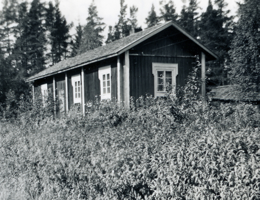 Makisen-Ainan-mokki_Kairinen-WP.jpg